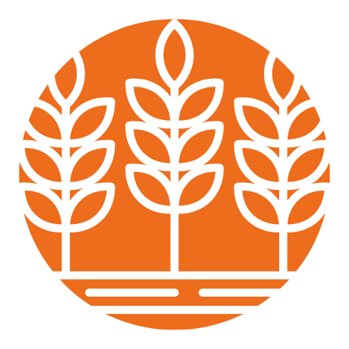 Drohnen Flug Landwirtschaft